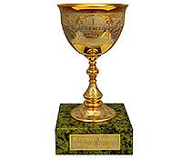 Кубок «Регата»