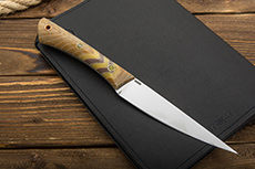 Нож Рипус (Х12МФ, Накладки микарта)