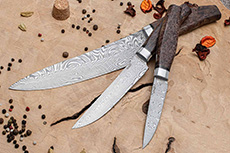 Кухонные ножи купить в Хабаровске: Набор кухонных ножей Поварской-3 (Дамаск ZDI-1016, Стабилизированная карельская береза коричневая, Алюминий)