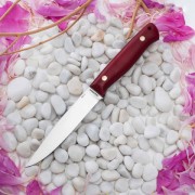 Ножи для рыбалки купить в Курске: Нож Заноза ЦМ (95Х18, Микарта)