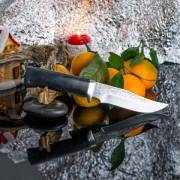 Ножи из стали 95Х18 купить в Красноярске: Нож Клычок-1 (95Х18, Граб, Алюминий)