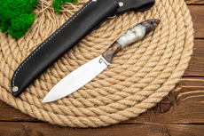 Ножи из стали Х12МФ купить в Астрахани: Нож Канадец (Х12МФ, Накладки композит, Полировка клинка)